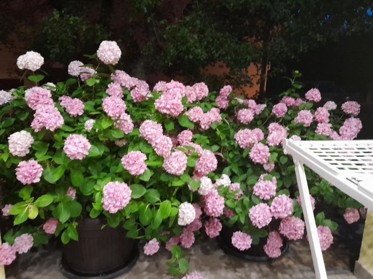 Apartman 1 * Omišalj